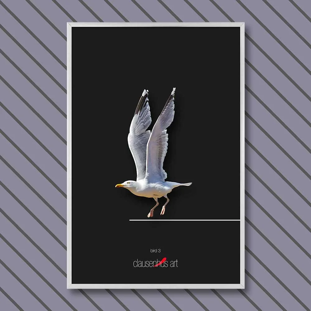 bird-3-copy.jpg