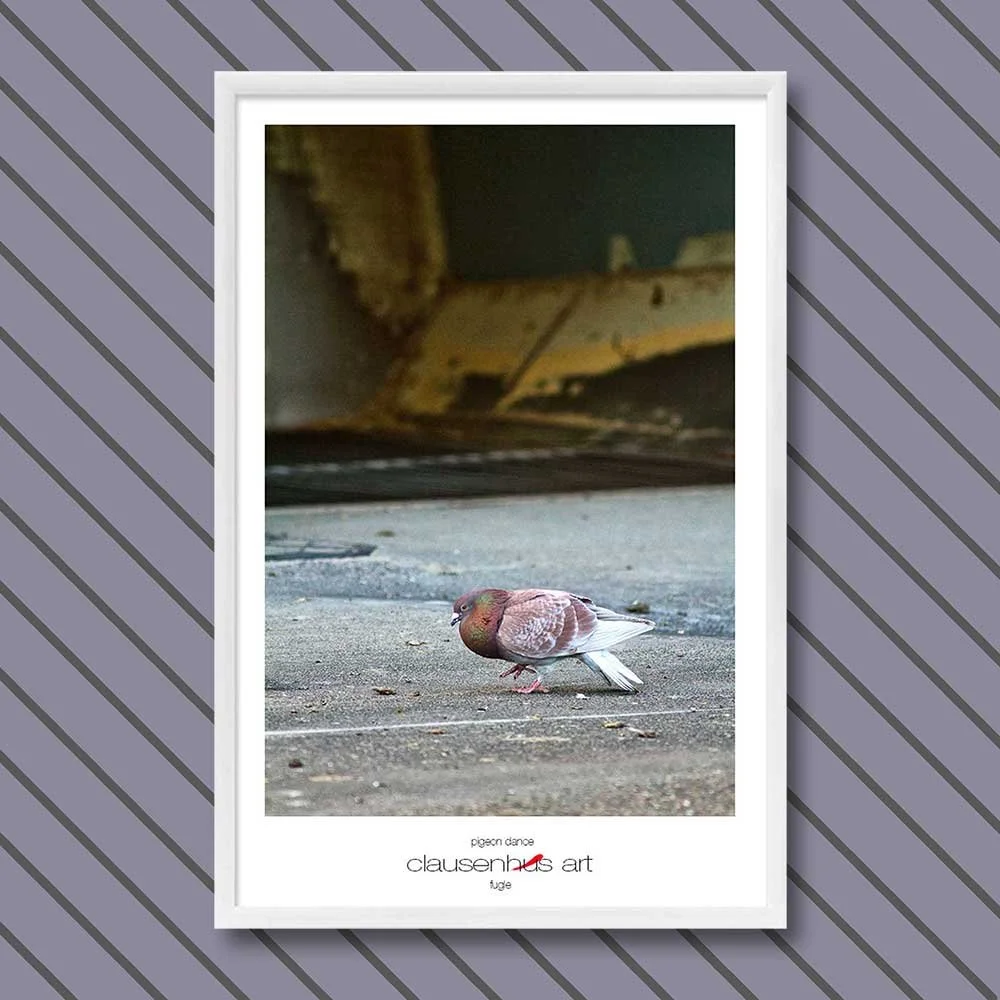 pigeon dance.jpg