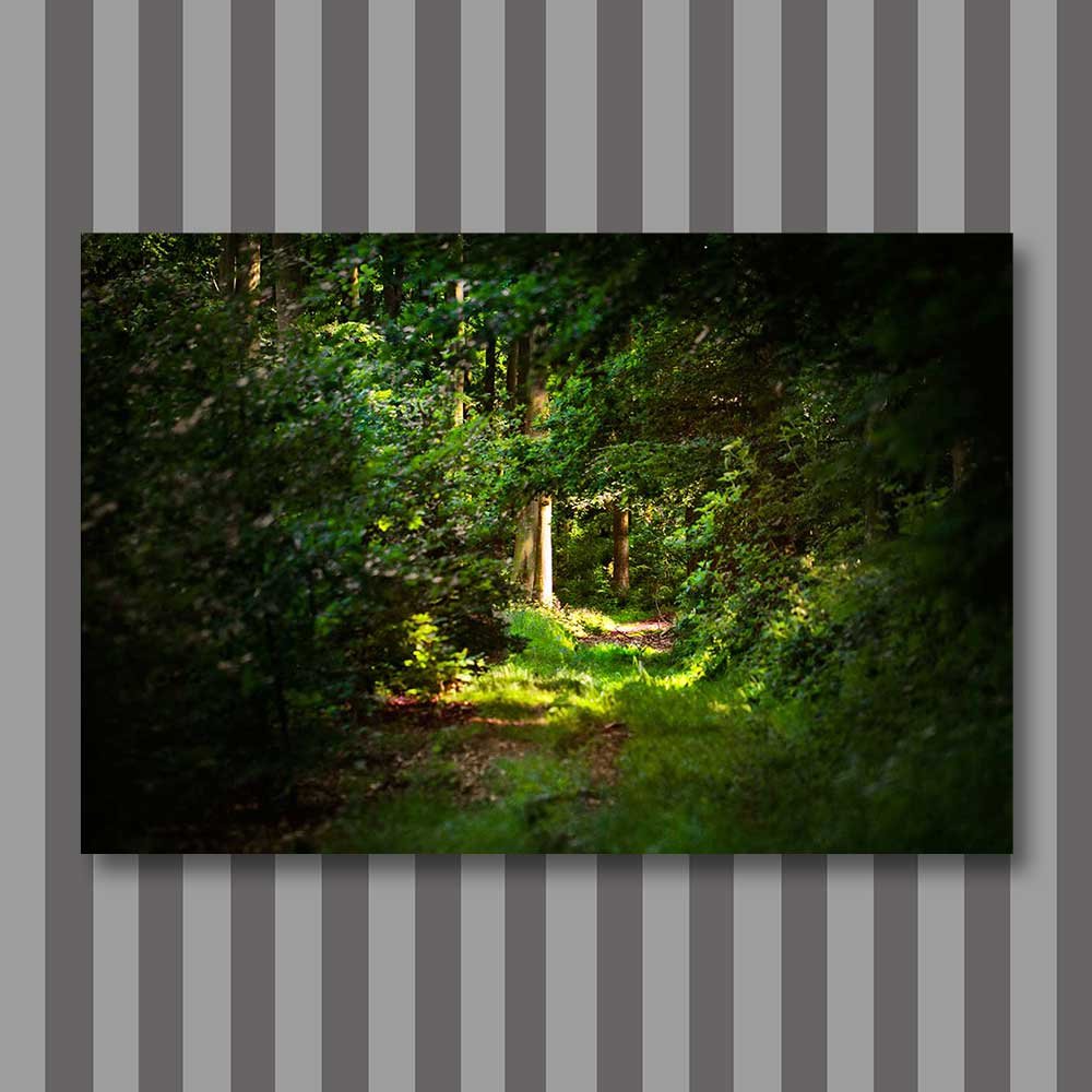 title: alluring