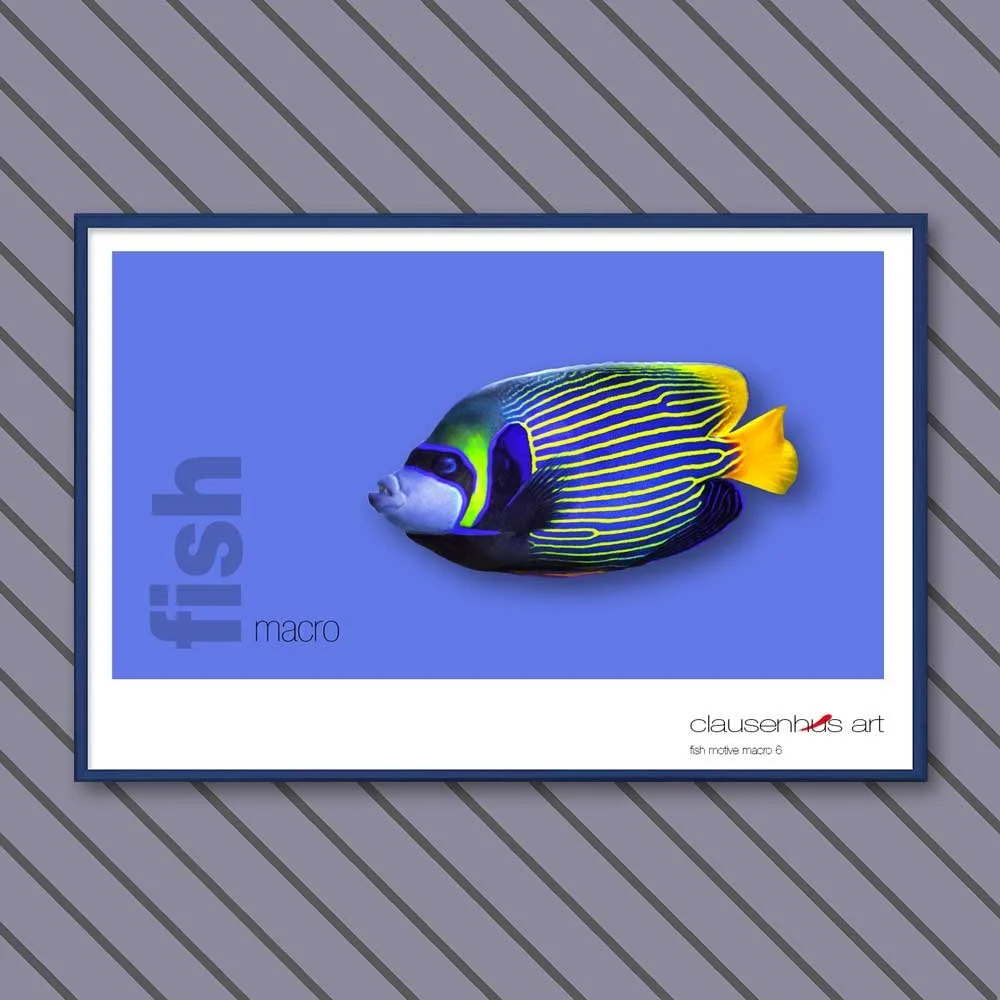 fish 6.jpg