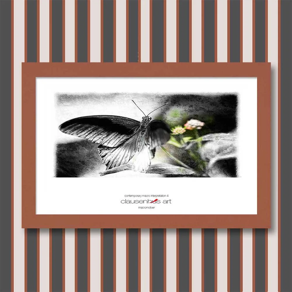 contemporary-macro-interpretation-4-copy.jpg