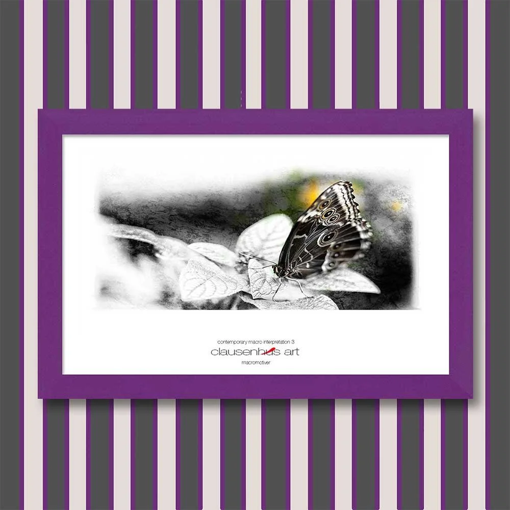 contemporary-macro-interpretation-3-copy.jpg