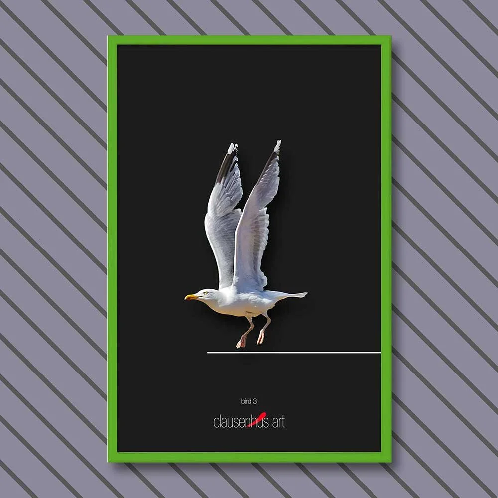 bird-3-copy.jpg