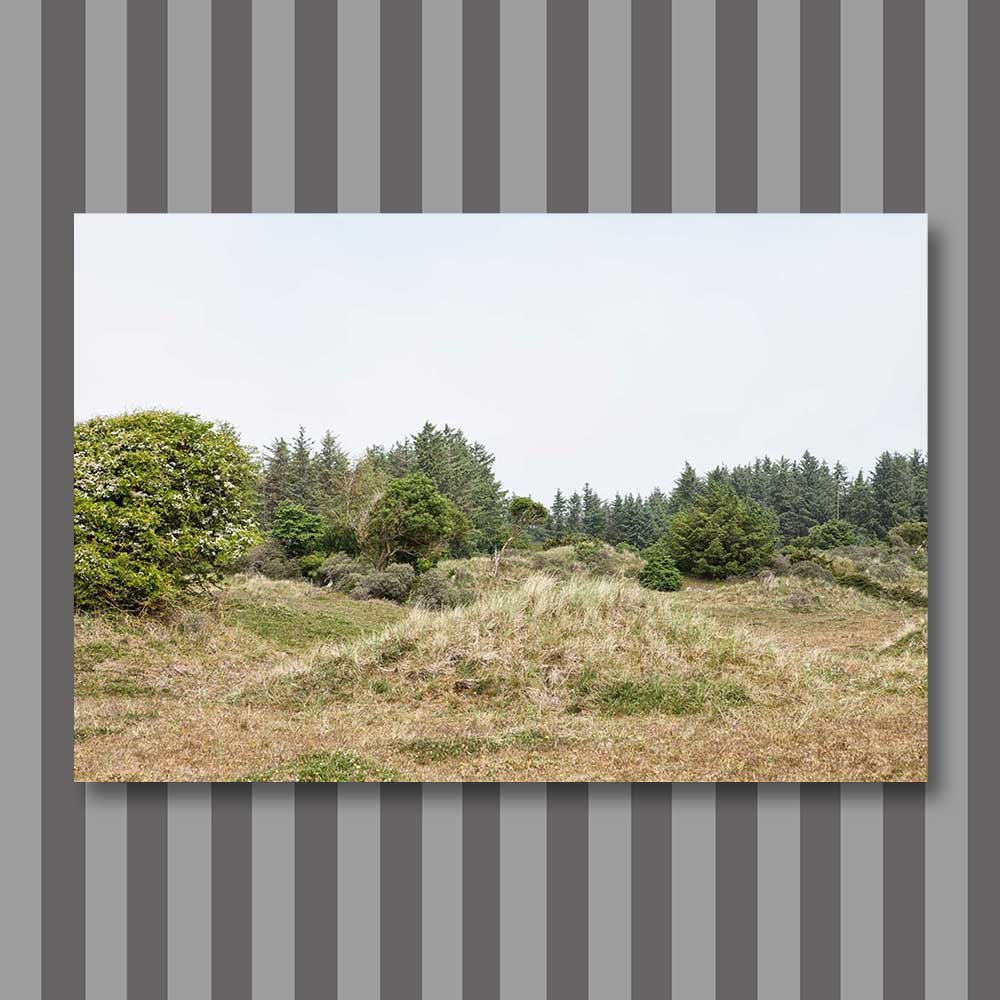 skallerup inland dunes 3.jpg