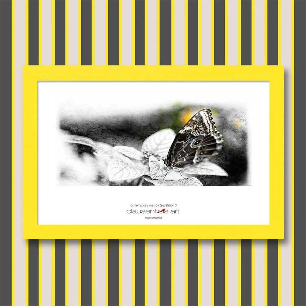 contemporary-macro-interpretation-3-copy.jpg