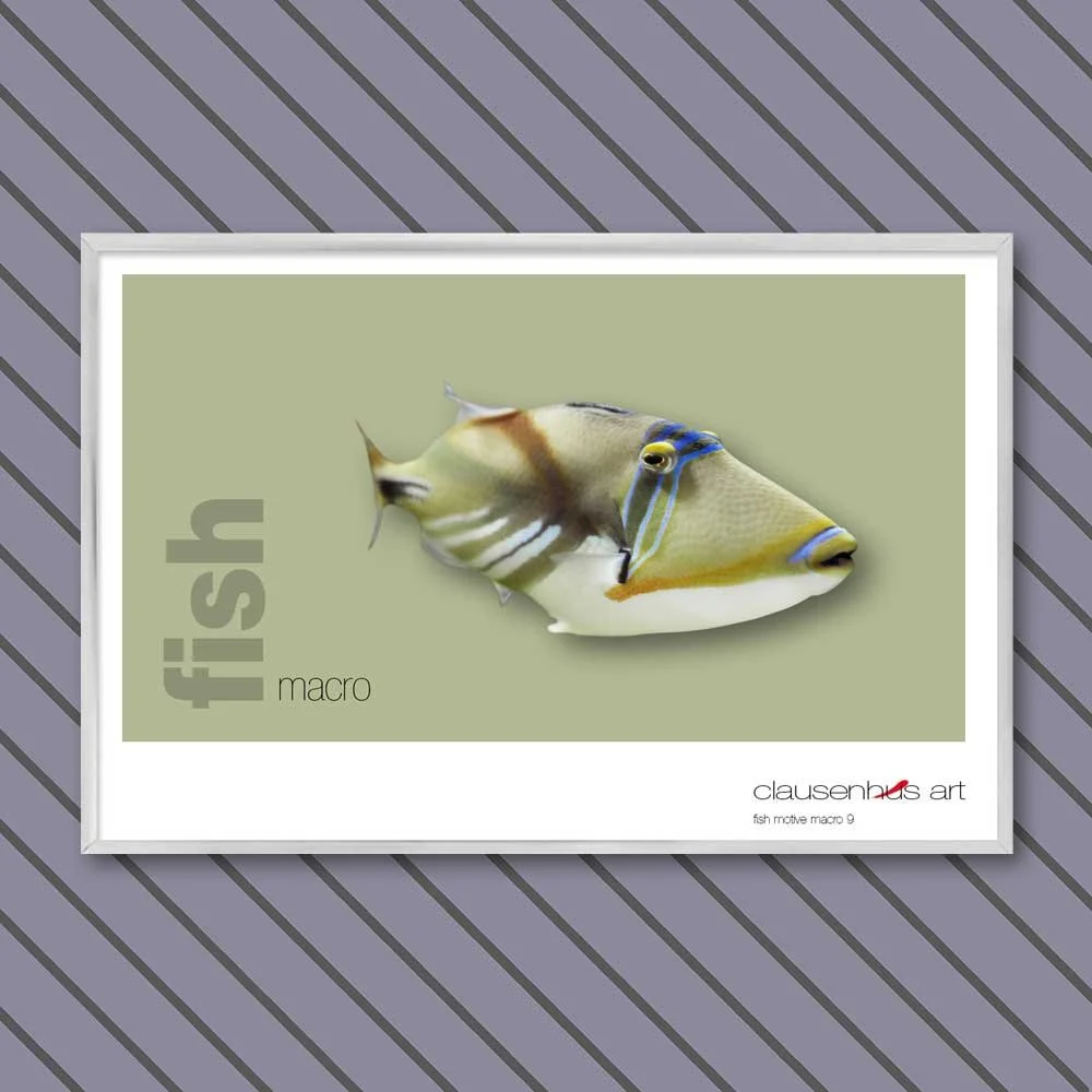 fish 9.jpg