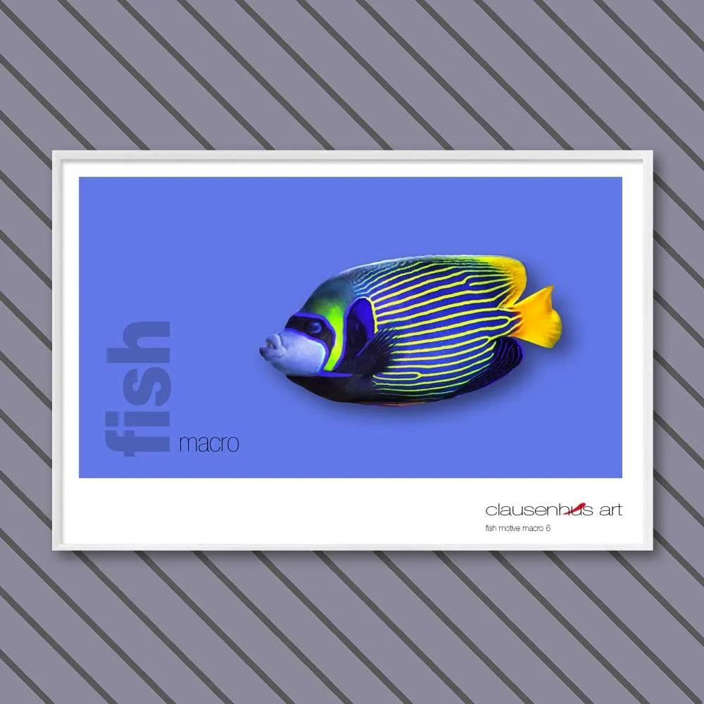 fish 6.jpg