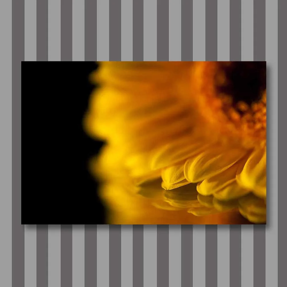 yellow reflection.jpg