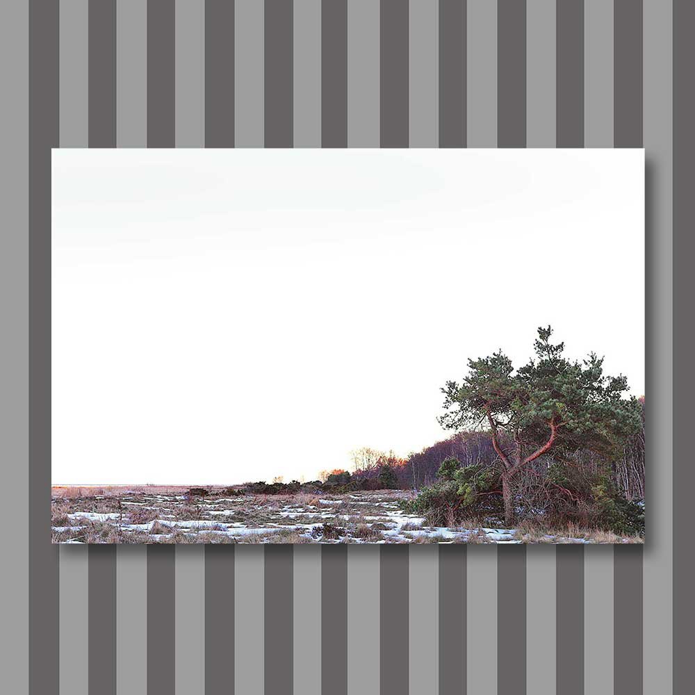 title: west coast interpretation 1