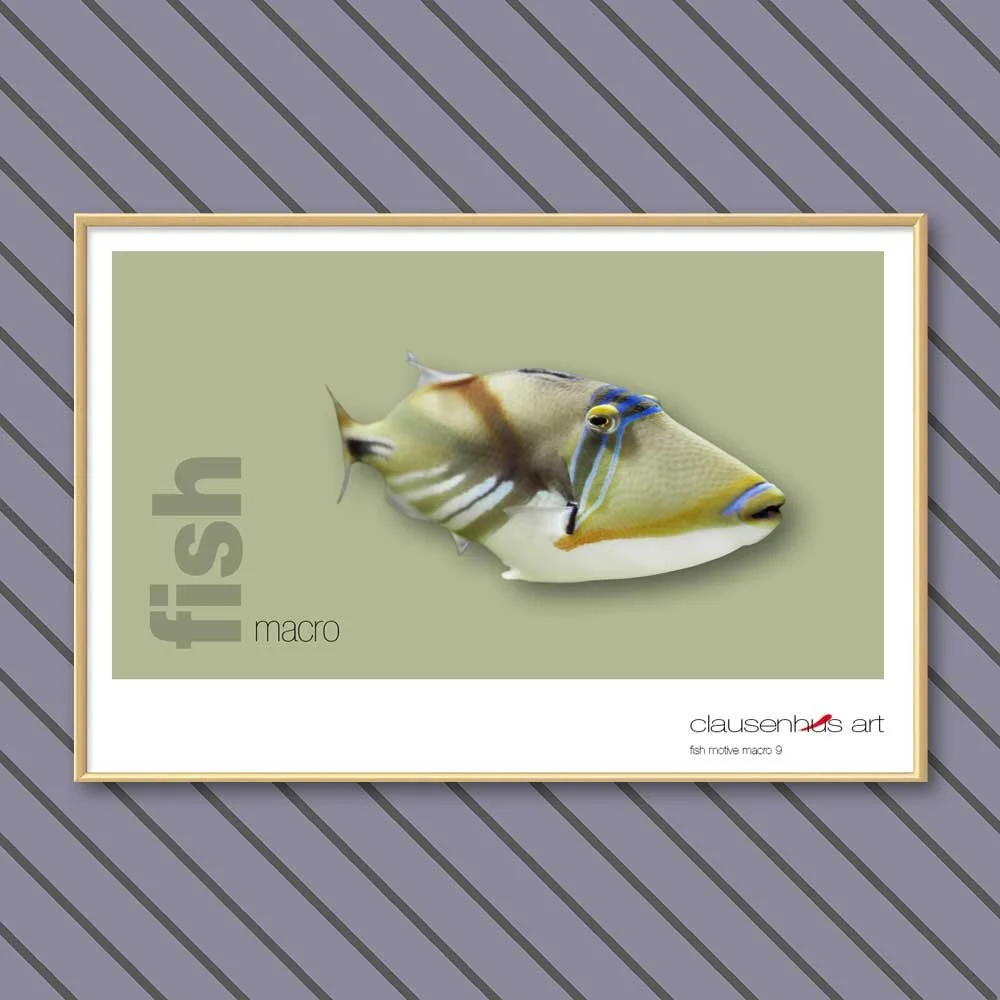 fish 9.jpg