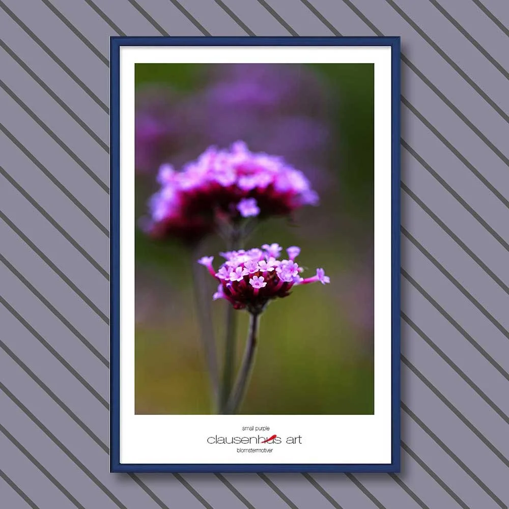 small-purple-copy.jpg