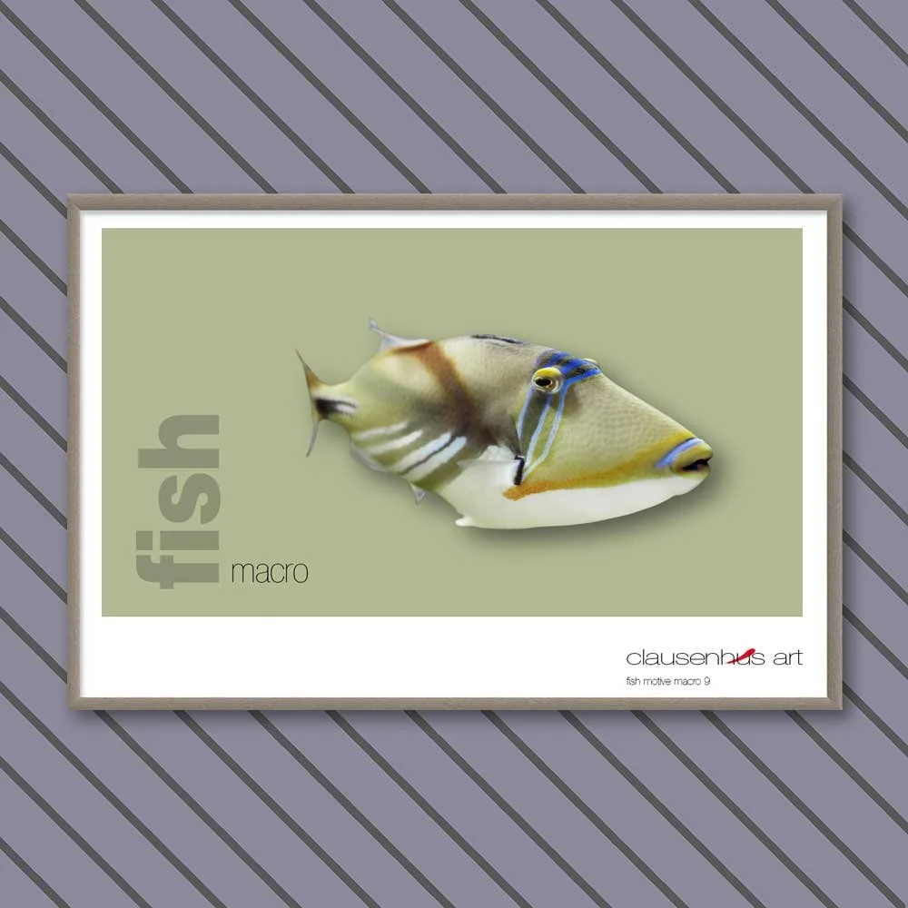 fish 9.jpg