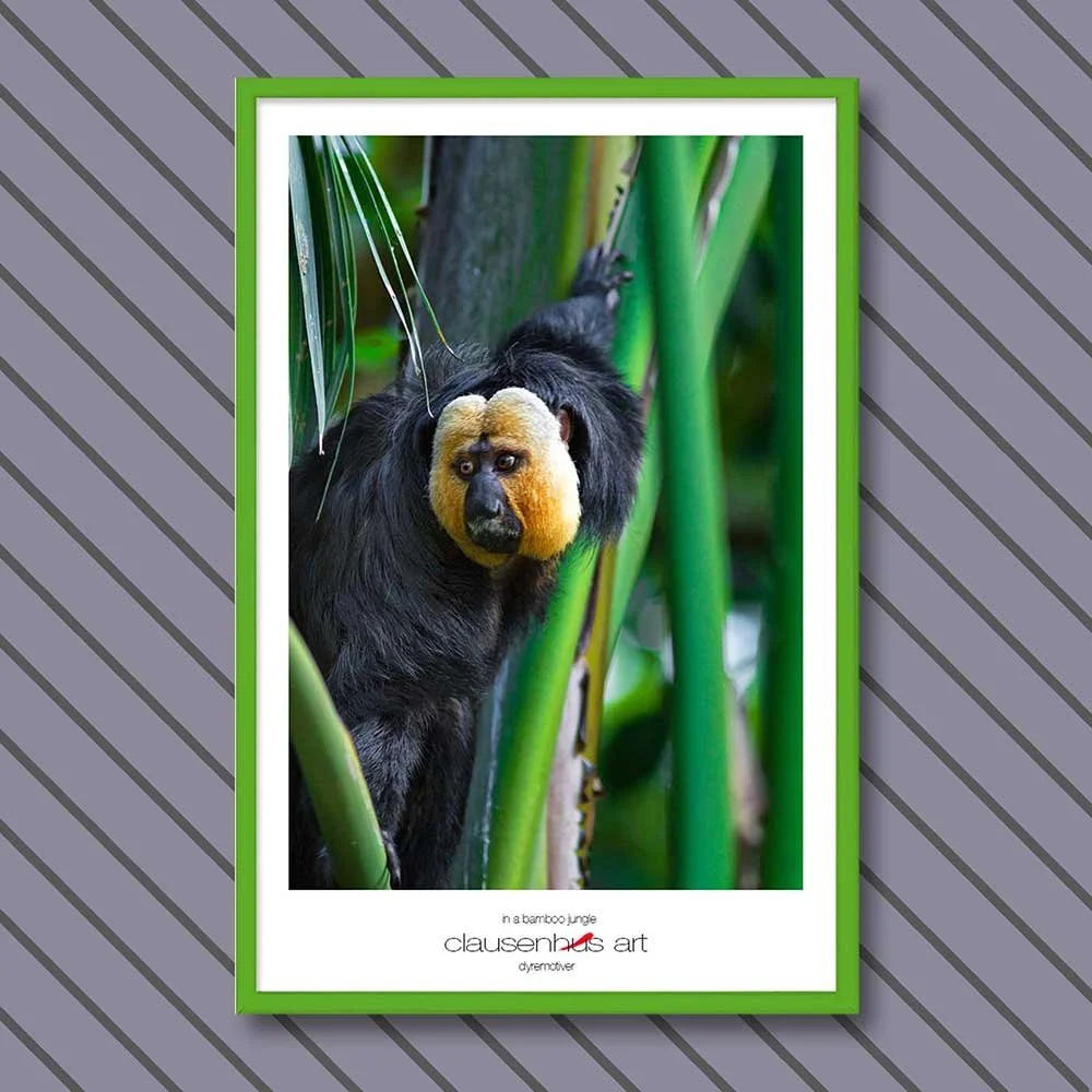 in-a-bamboo-jungle-copy.jpg