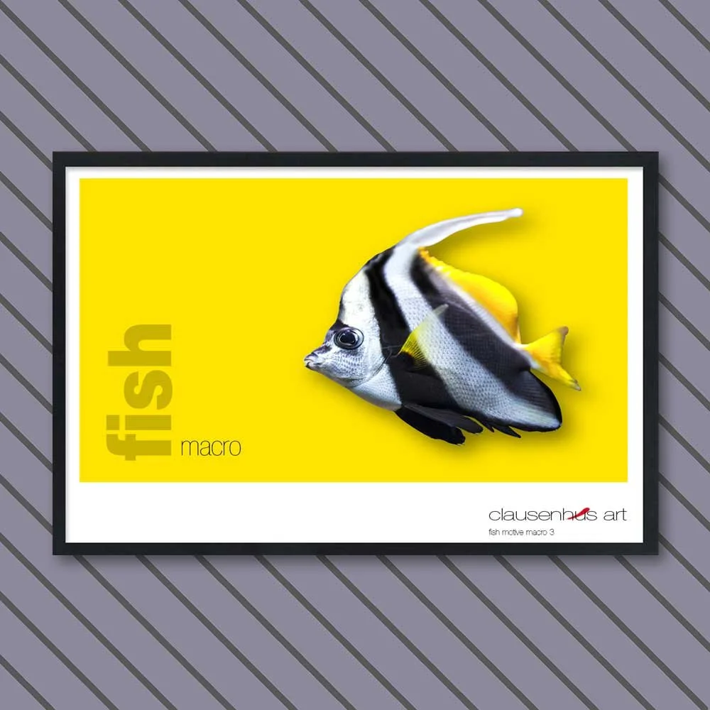 fish 3.jpg
