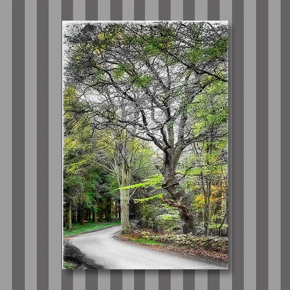 title: back to the beginning