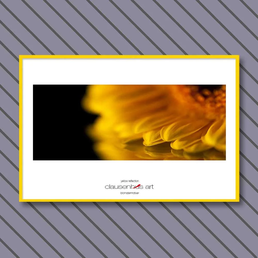 yellow-reflection-copy.jpg