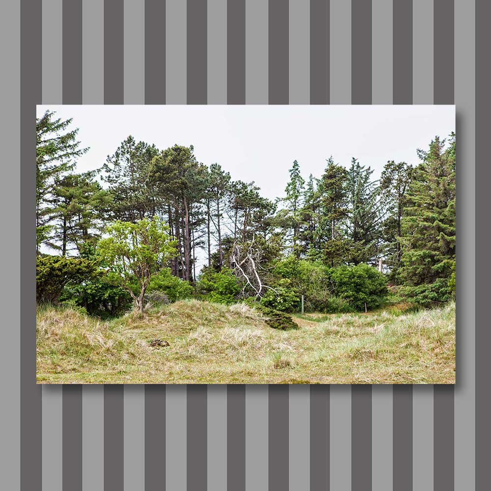 skallerup inland dunes 2.jpg