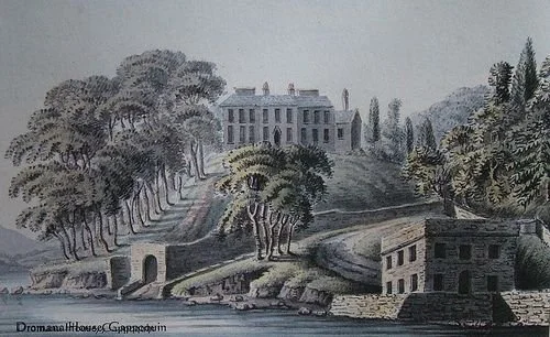 drawing of dromana house.jpg
