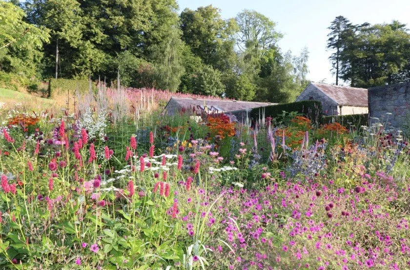 June Blake's Garden, Blessington