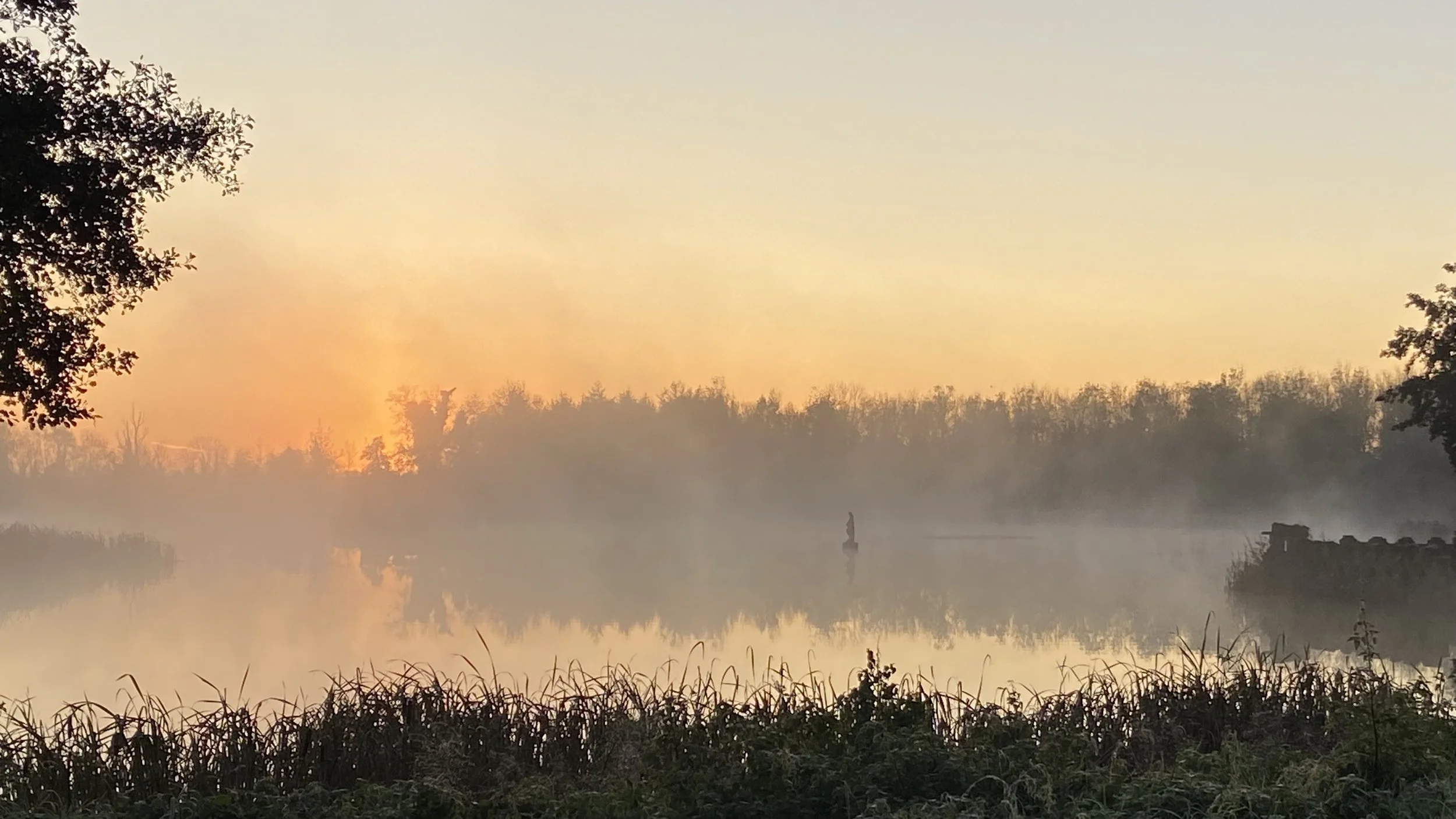lake misty larchill.jpeg
