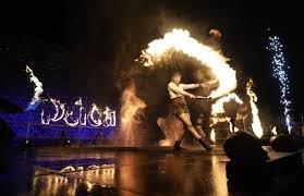 flame thrower puca.jpeg