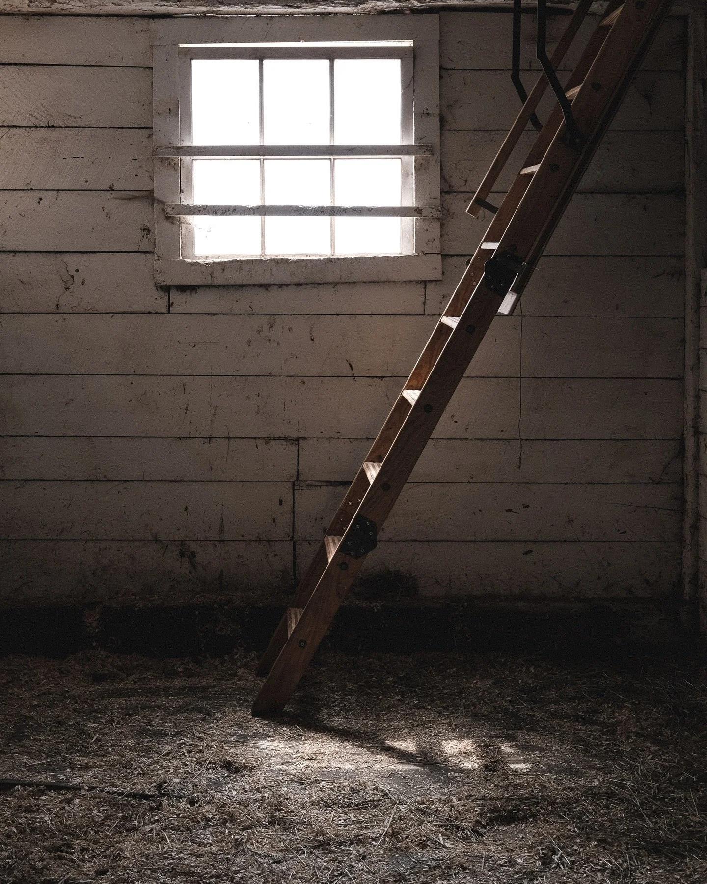 Up the barn, last April.