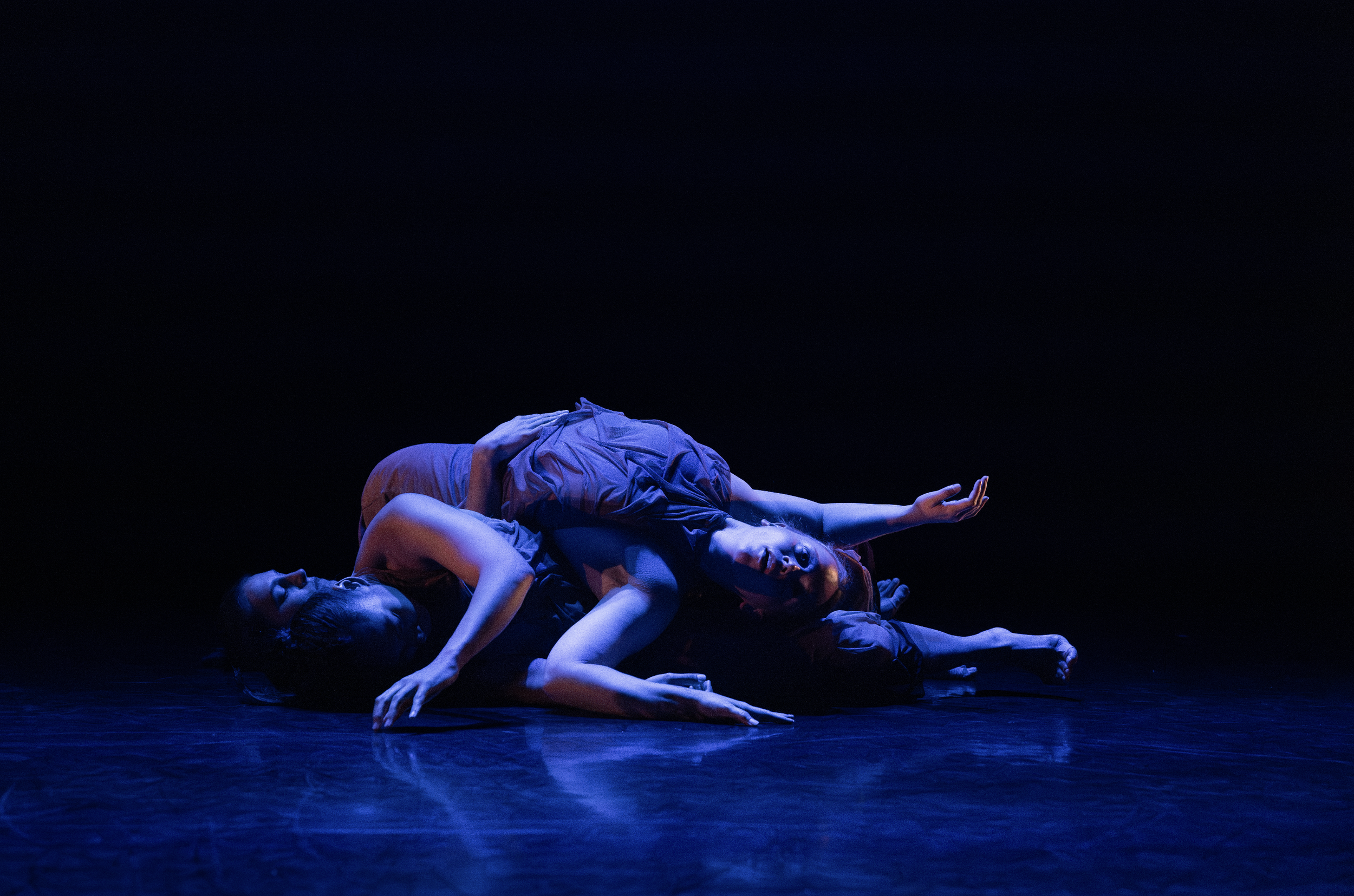 Screenshot 2026-01-13 at 7.02.16 PM.png