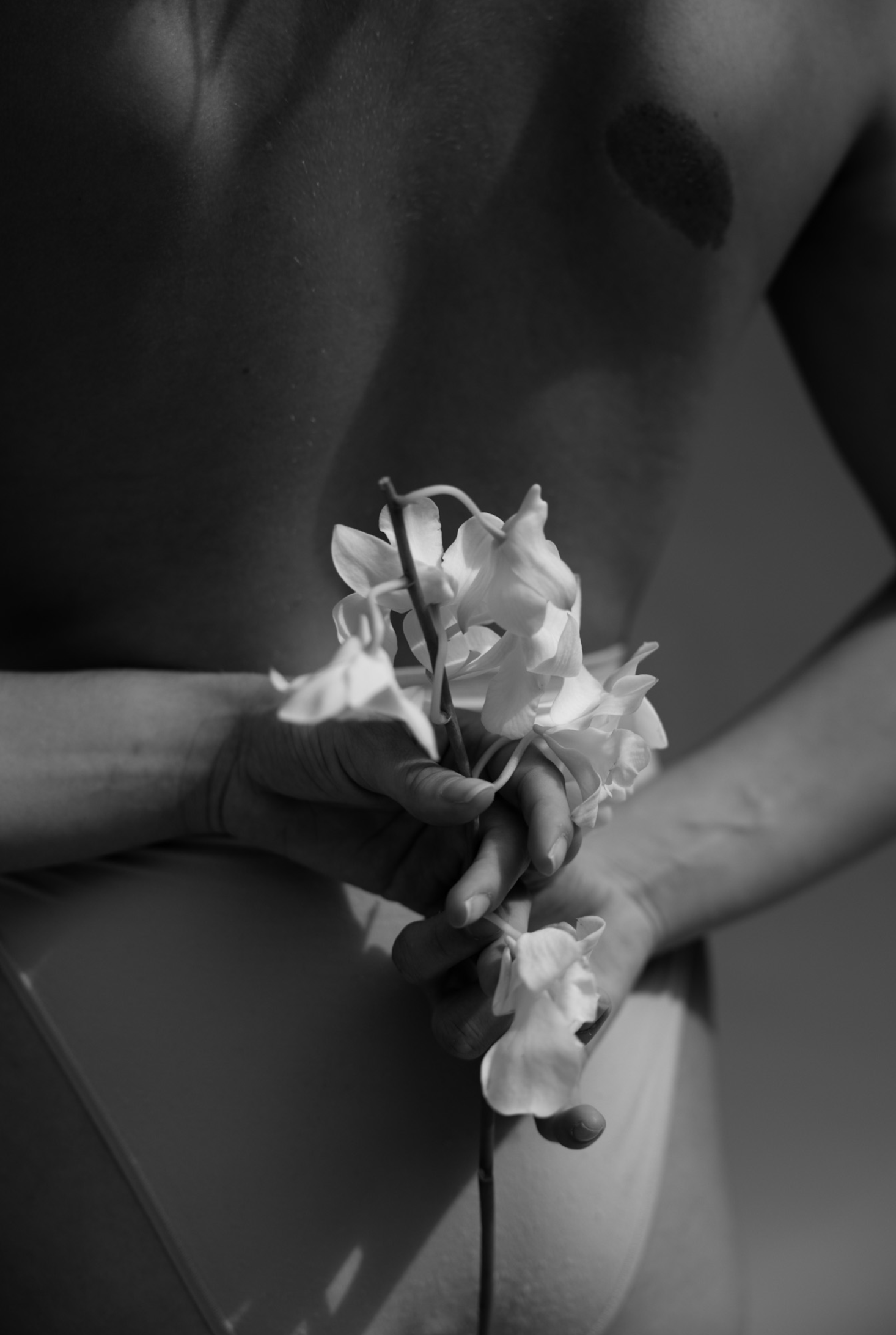 Screenshot 2026-01-13 at 2.52.41 PM.png