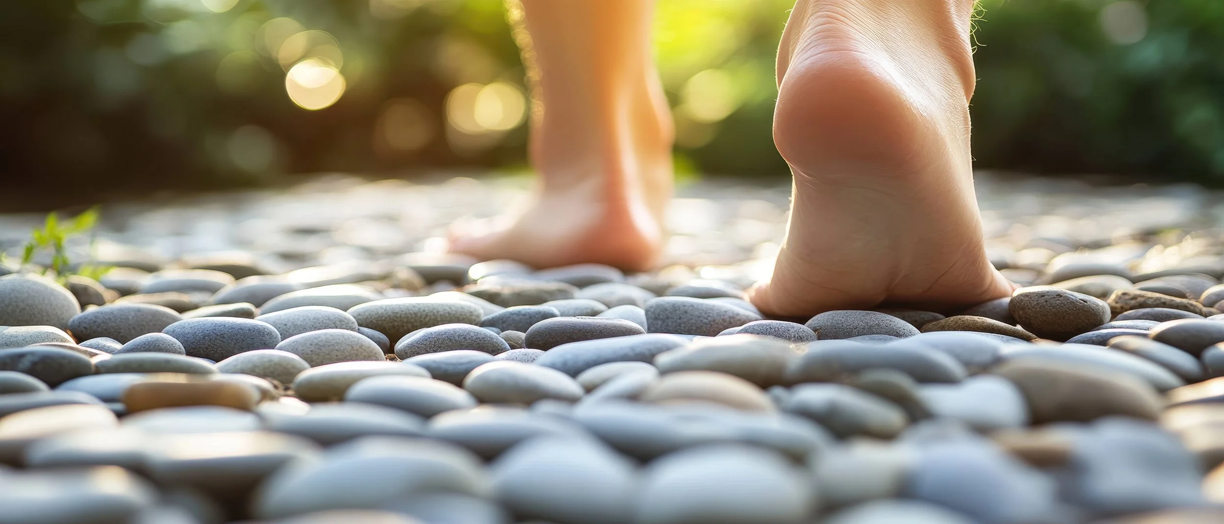 Reflexology Wellness