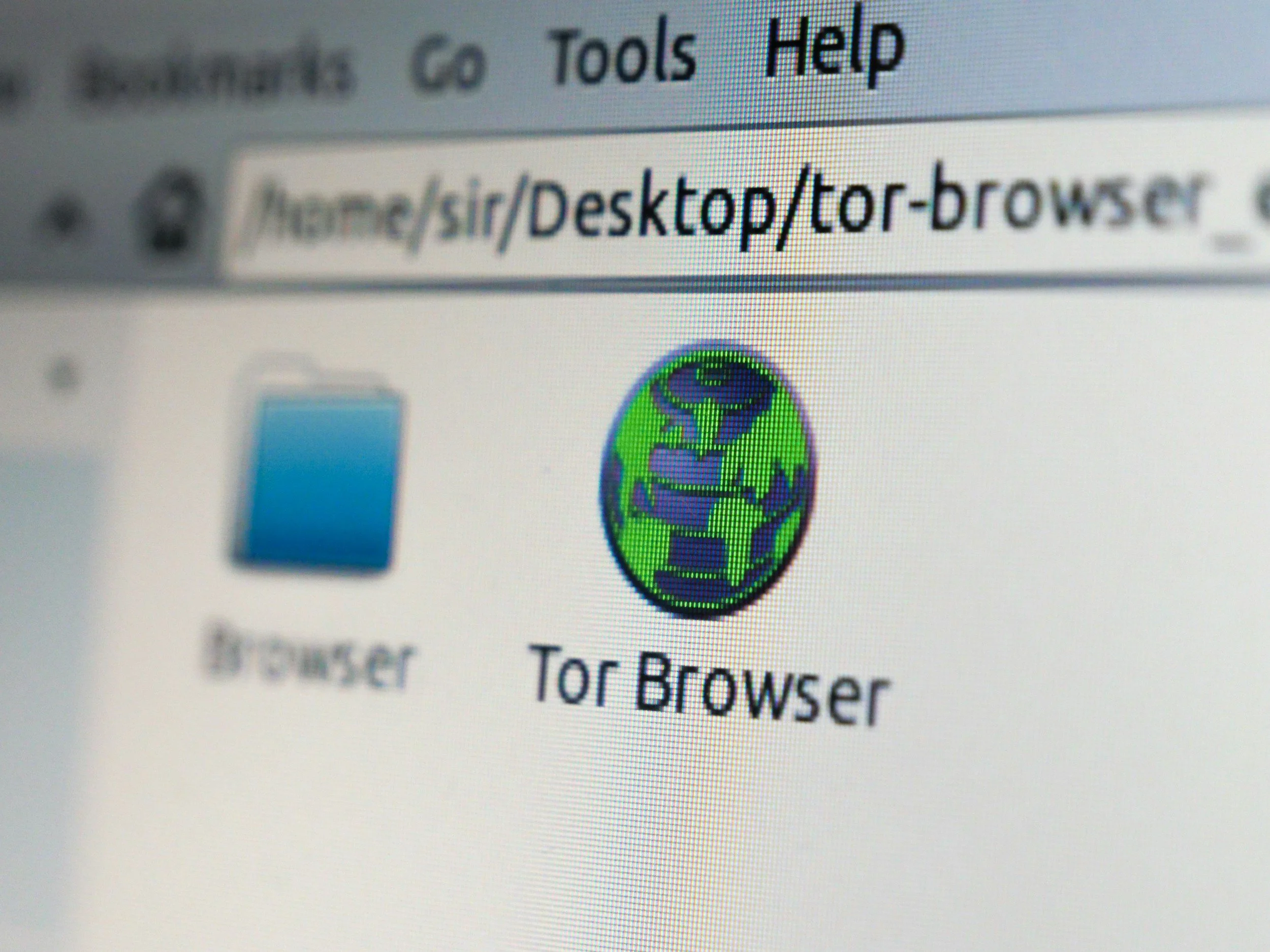 Mining Local Priorities: What German County Websites Reveal