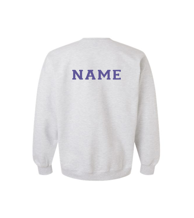 SNAP sweatshirt B.png