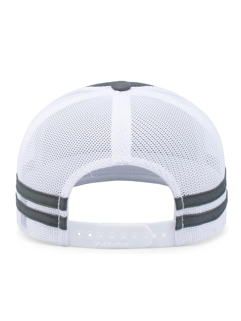 NT+Hat+Back+.png