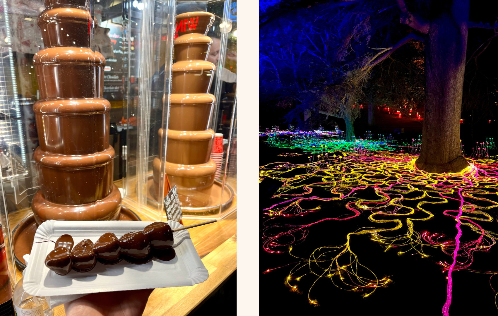 Chocolate covered strawberries at London Christmas market. Edinburgh Botanic Garden Light Show.