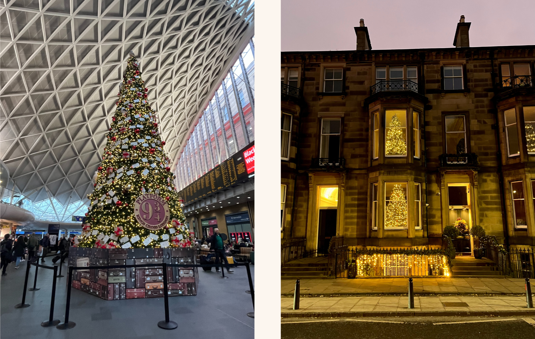 London Kings Cross Station Christmas Tree. Edinburgh home with two christmas trees in window.