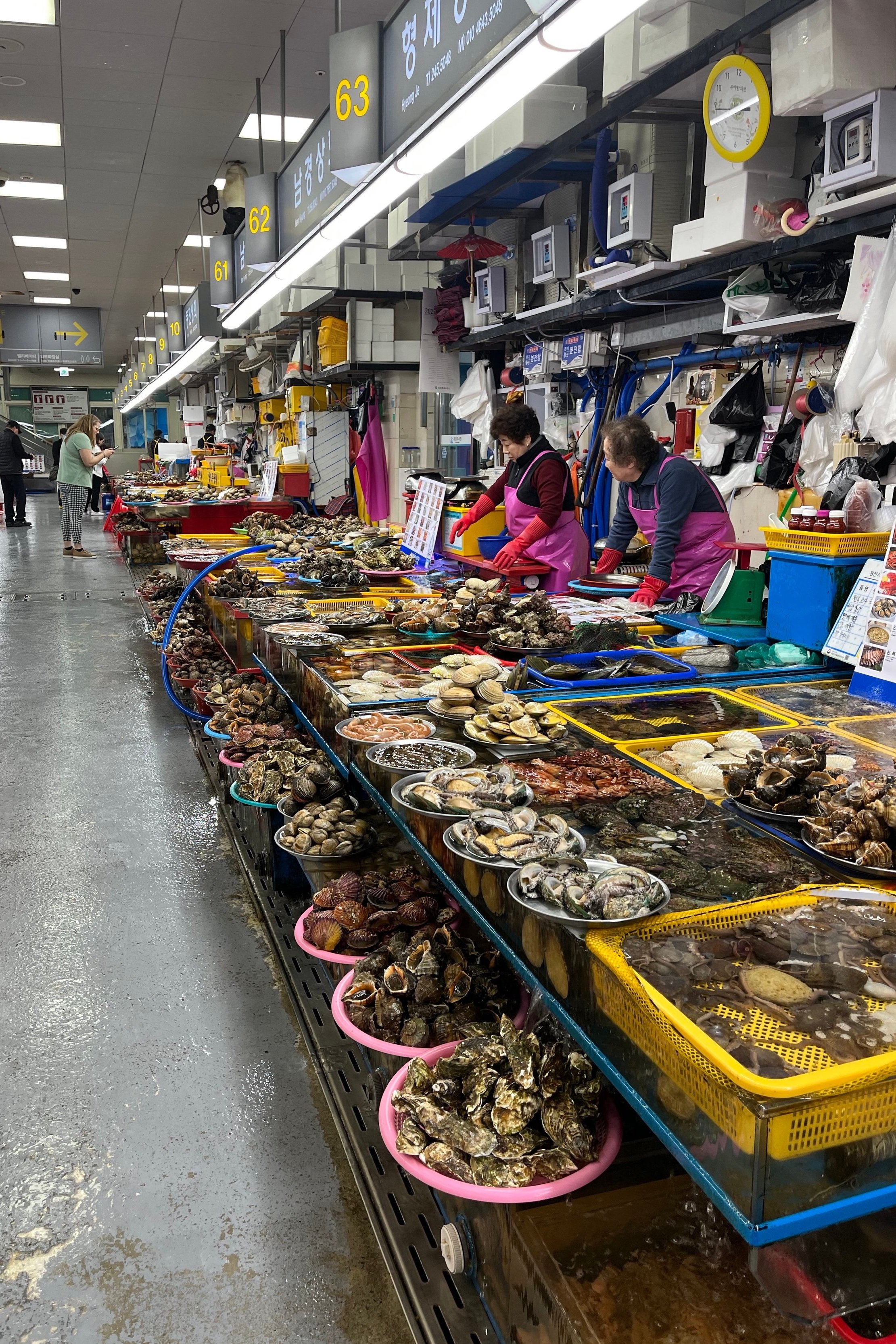 Busan Fish Market Vendors selling different seafood South Korea Food Guide