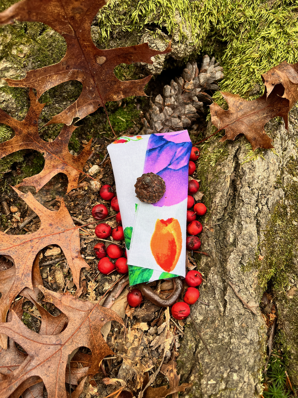 New Years Eve Snake
Photographed ceremony of a snake wrapped in fabric, berries, and an acorn, on silk
42x61 inches
2023