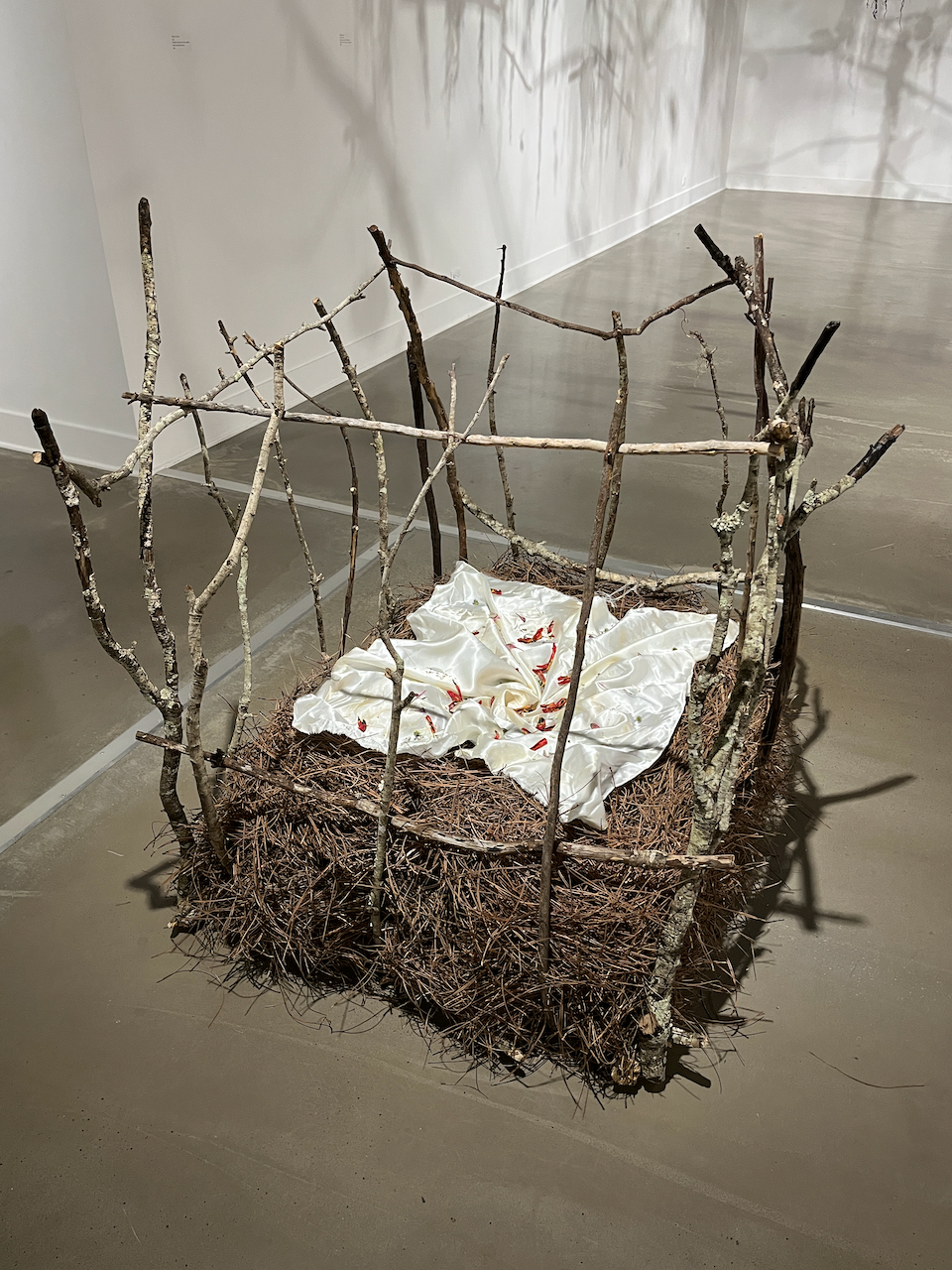 Crib
Branches, copper, wire, pine needles, twine, wax, offering shroud
42x46x32 inches
2022