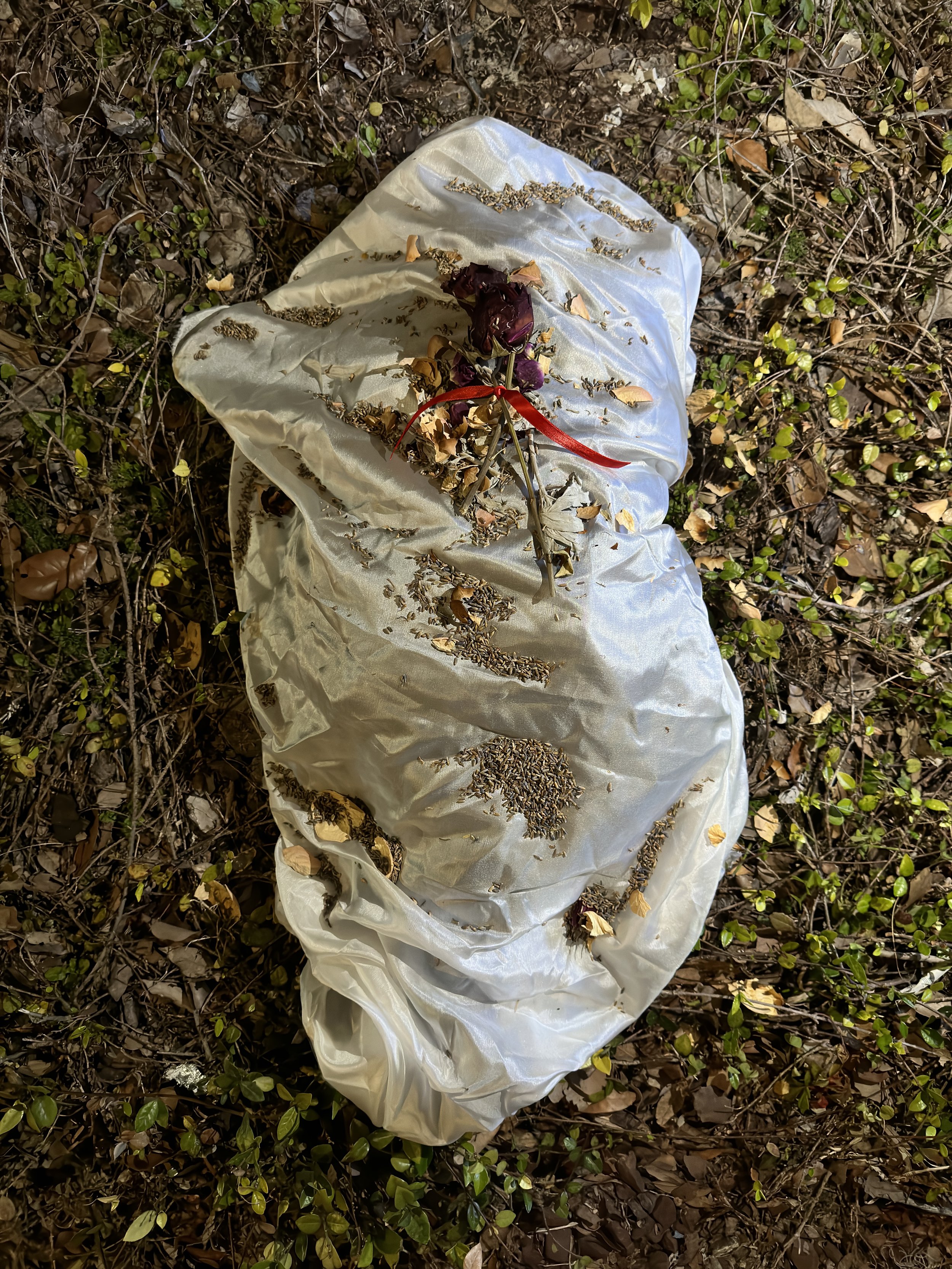 (Bloated) C.H. Morrison Raccoon
Photographed ceremony of a raccoon with silk, sage, lavender, ribbon, and flowers on silk
42x61 inches
2023