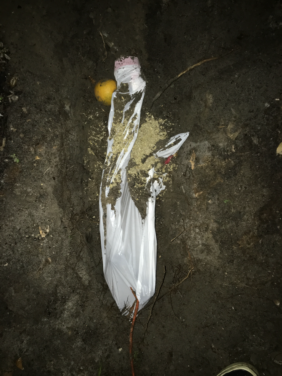 Deer Tied With Paracord
Photographed burial of a deer in a bag with an orange and sage on silk
42x61 inches
2021