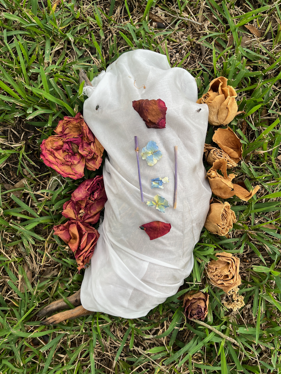 Yard Hare
Photographed ceremony of a hare wrapped in fabric and flowers
2024
