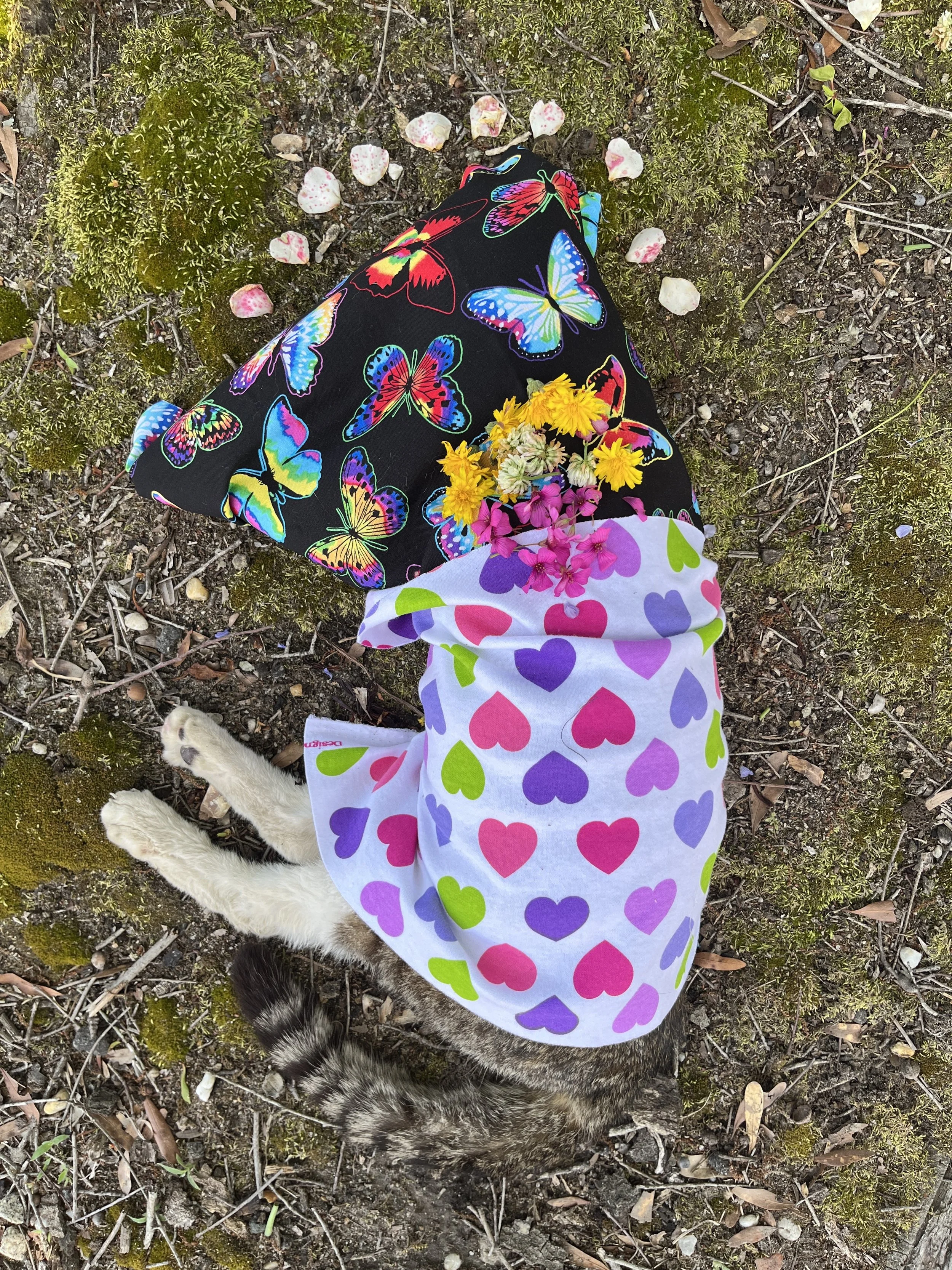Collapsed Tom Cat  
Photographed ceremony of a cat wrapped in flowers and fabric  
2024

