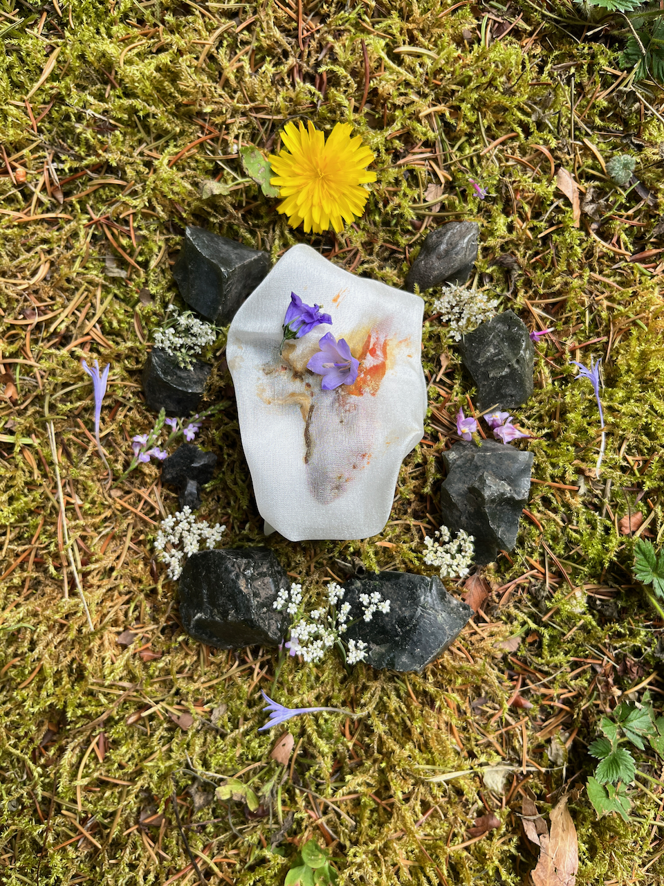 Limace Orange
Photographed ceremony of a slug wrapped in silk and native offerings of Orquevaux, France, on silk
42x61 inches
2023