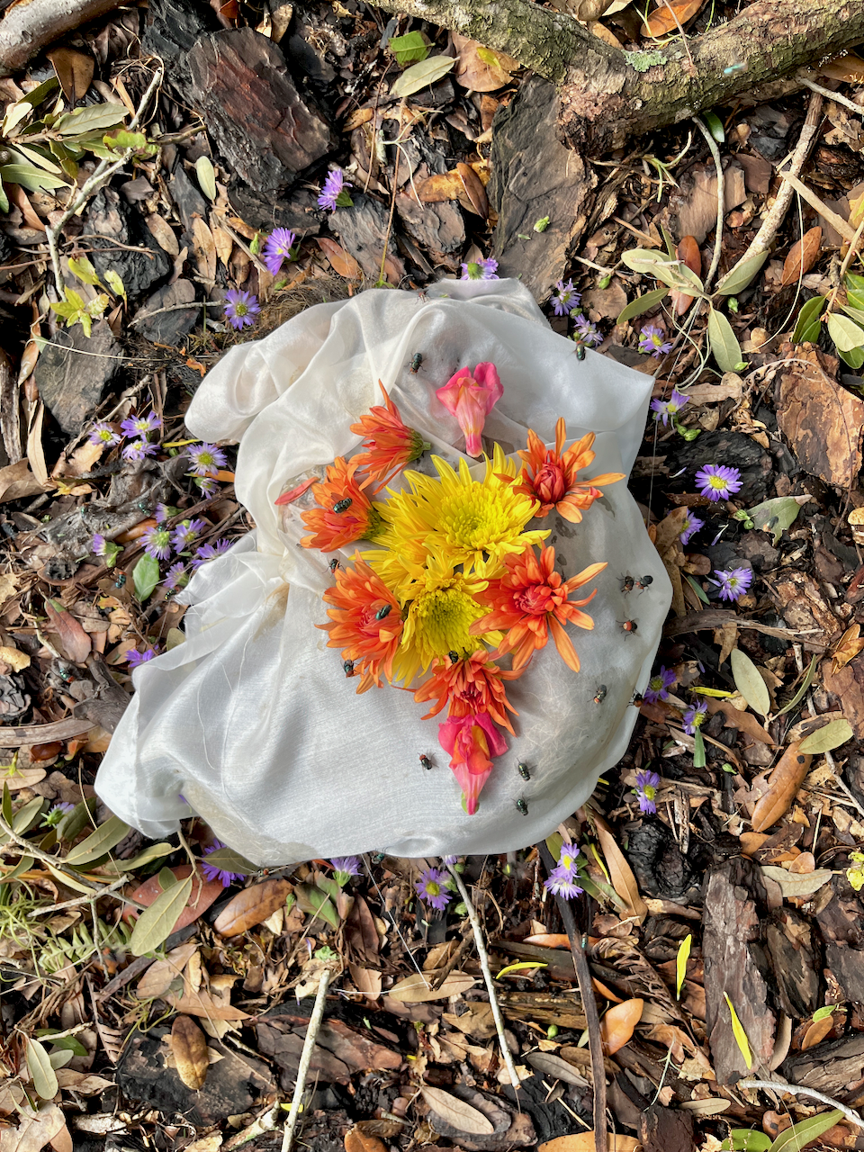 Green Fur Raccoon
Photographed ceremony of a raccoon wrapped in fabric and flowers
2024