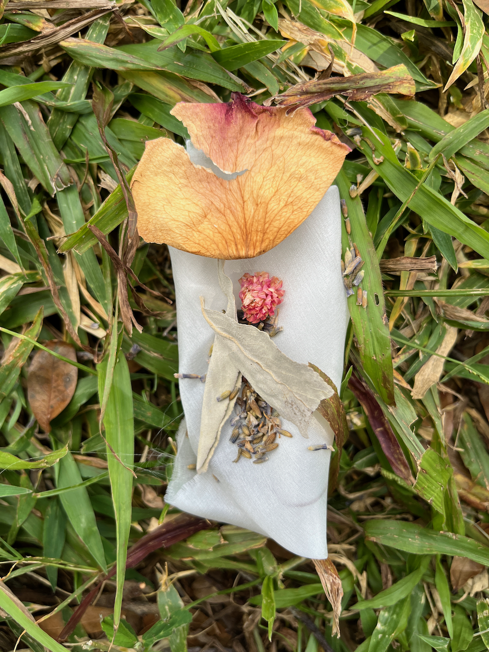 Campus Lizard
Photographed ceremony of a lizard with silk, sage, lavender, and flowers on silk
42x61 inches
2022