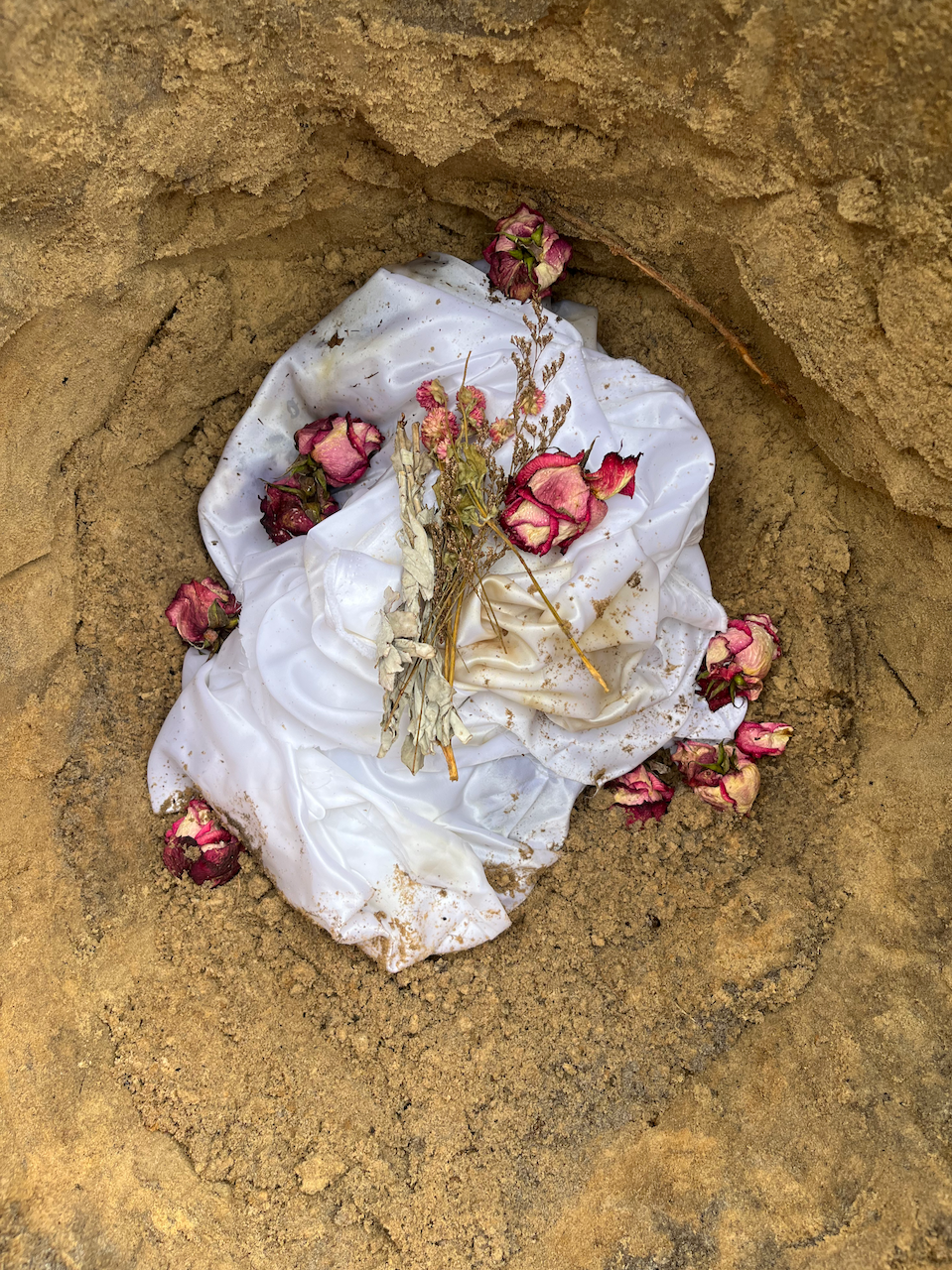 Black And White Cat
Photographed burial of a cat with flowers, sage, and lavender on silk
42x61 inches
2022