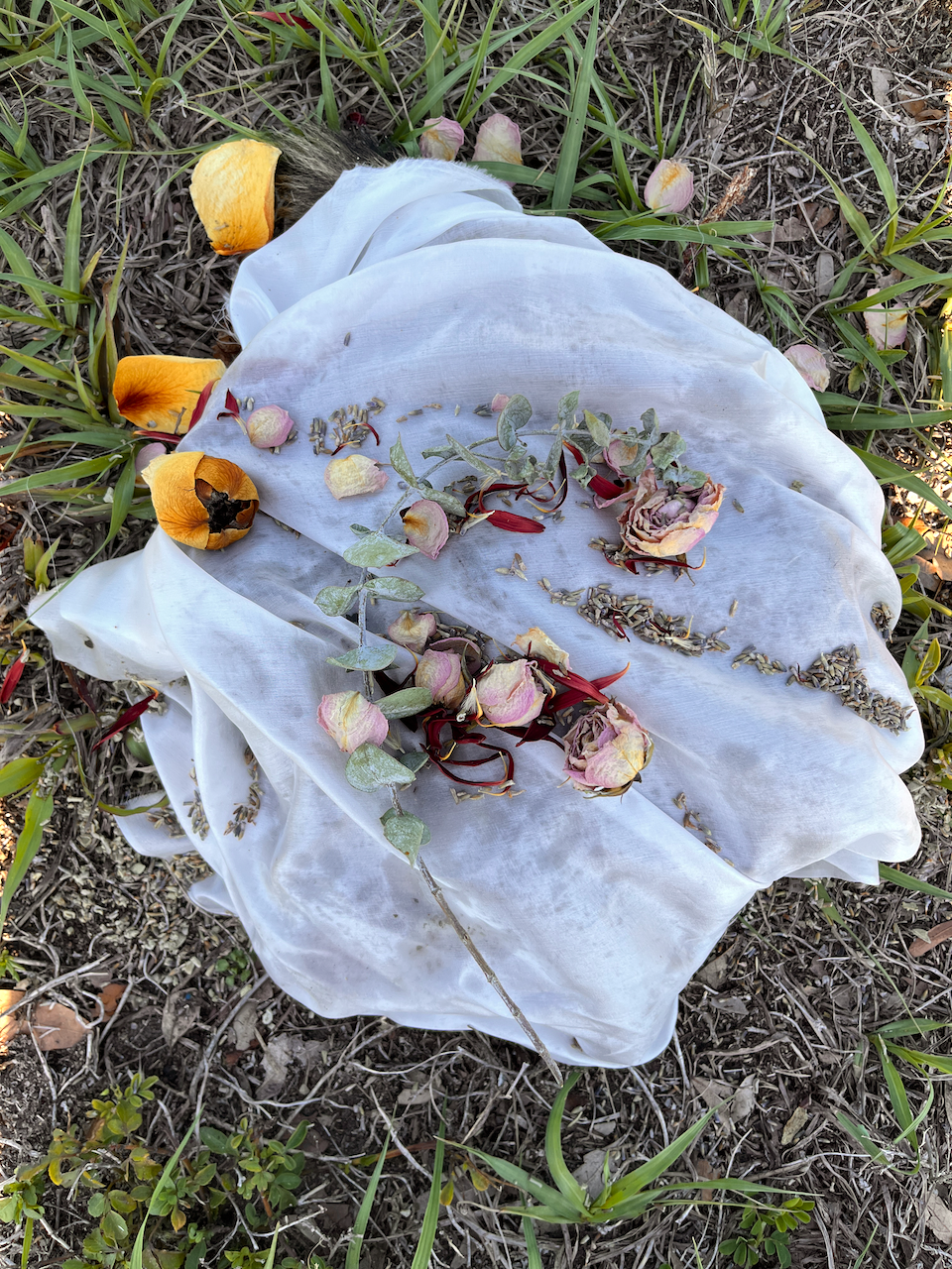 Raccoon Jerky
Photographed ceremony of a raccoon with silk, sage, and flowers on silk
42x61 inches
2023
