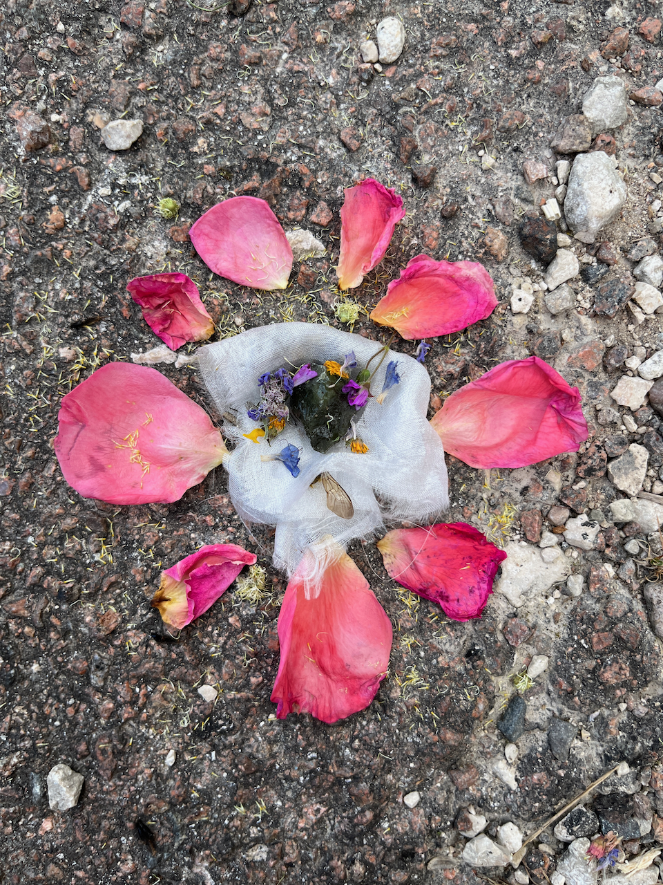Aie De Pavage
Photographed ceremony of a bee wrapped in silk and native offerings of Orquevaux, France, on silk
42x61 inches
2023
