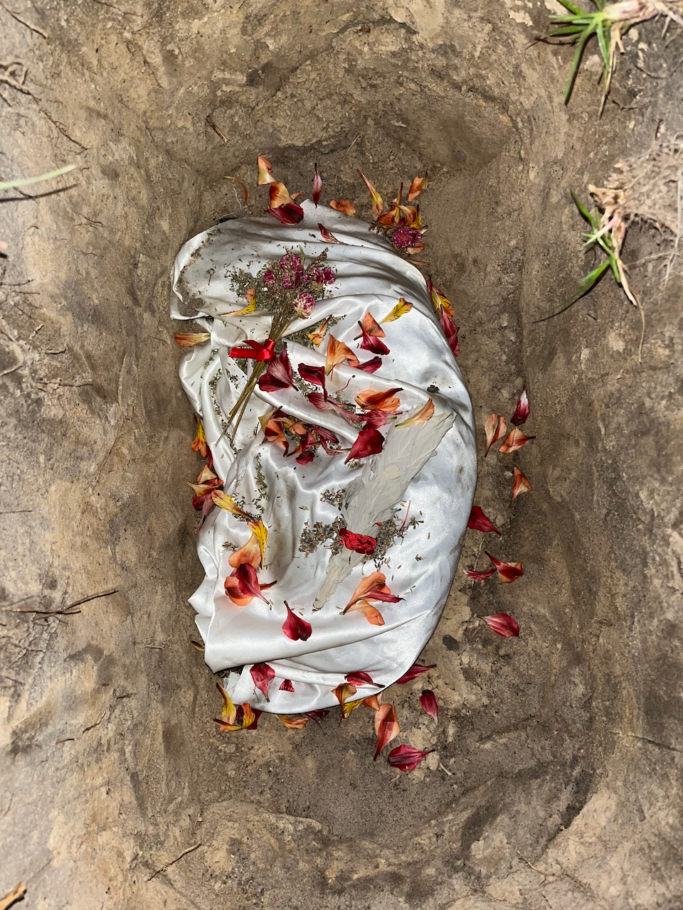 Leeann's Tomcat
Photographed burial of a cat with sage, lavender, flowers, ribbon, and paracord on silk
42x61 inches
2022