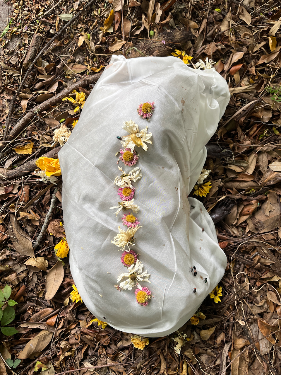 Raccoon Balloon
Photographed ceremony of a raccoon wrapped in fabric and flowers
2024