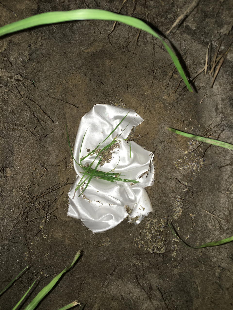 But Actually, It's A Squirrel
Photographed burial of a squirrel wrapped in fabric with grass and sage on silk
42x61 inches
2021